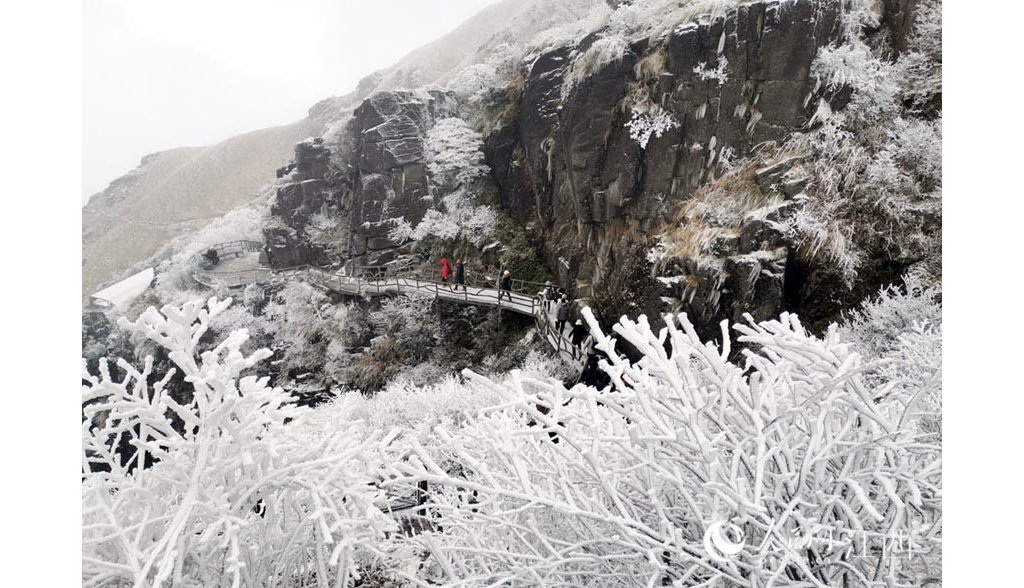 高清圖：江西武功山迎瑞雪