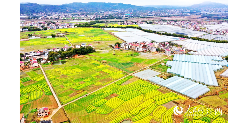 江西興國：早春田園美如畫