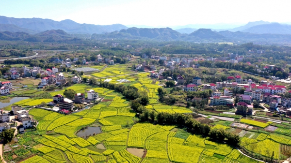 江西興國(guó)：春到村落景如畫(huà)