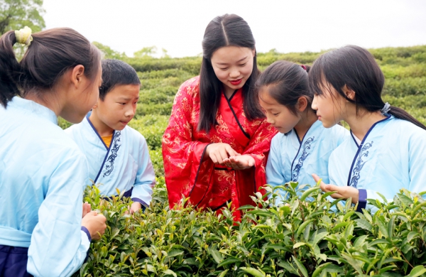 江西宜豐：茶藝文化促“雙減”